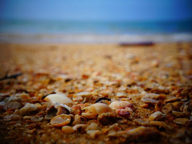 疫苗攻略，看完少走弯路→