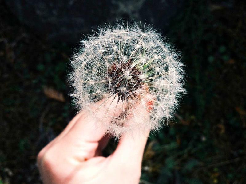 汛期出行防护与健康管理提示