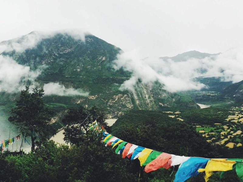 又到飞絮季！除了戴口罩，还要做好这几件事