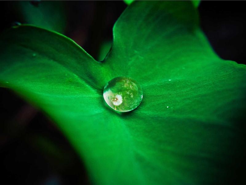 清明，血液病患者如何平安过节？！