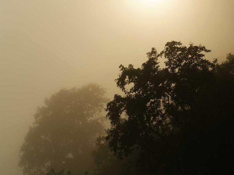 第19个全国疟疾日｜防疟疾、防输入，这份健康指南请查收！