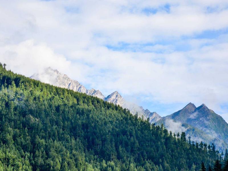 别忽视！生物安全——原来离我们这么近？