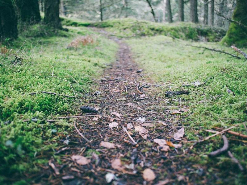 “我刚从非洲 / 东南亚回来”，回国就医时多一句提醒，也许能救命！