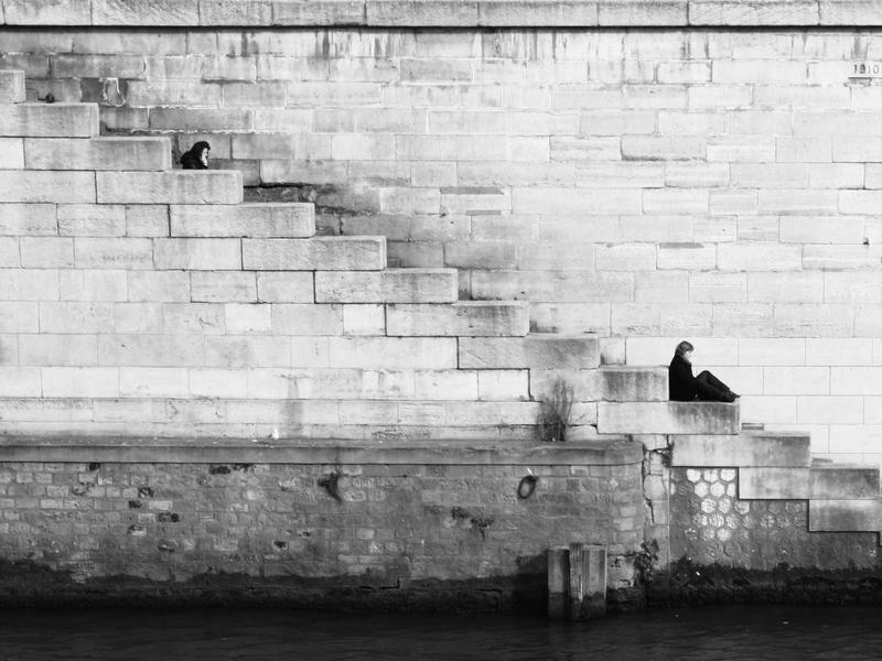 千万别招惹！马蜂伤人，后果可能很严重！