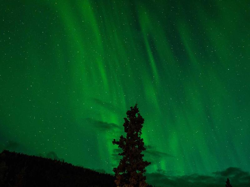 别再这样用微波炉热菜了！做错这一步，反而伤身体