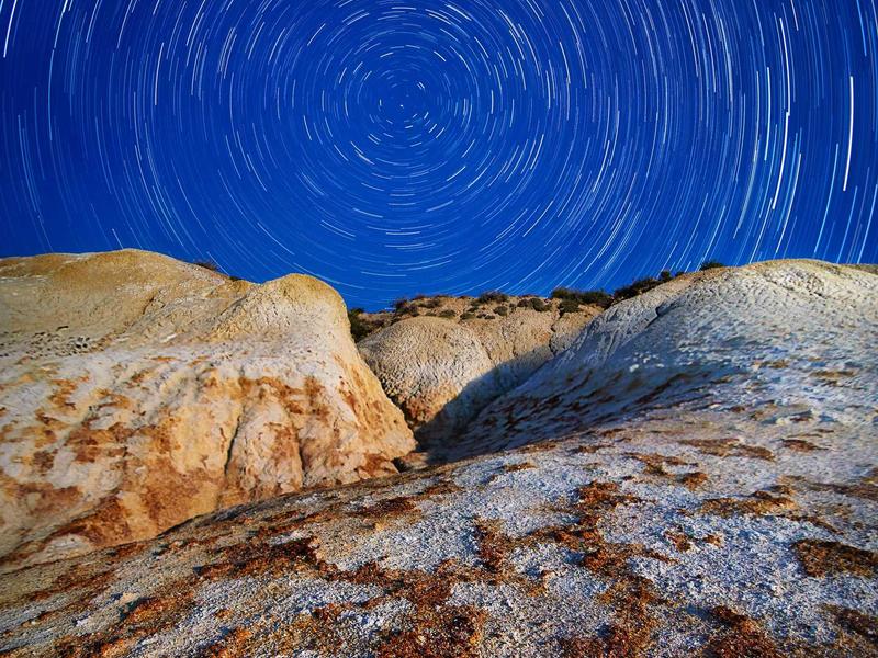 滋补不成反中毒！生鲜羊奶、羊胎盘竟能让人得“懒汉病”，反复发烧关节痛