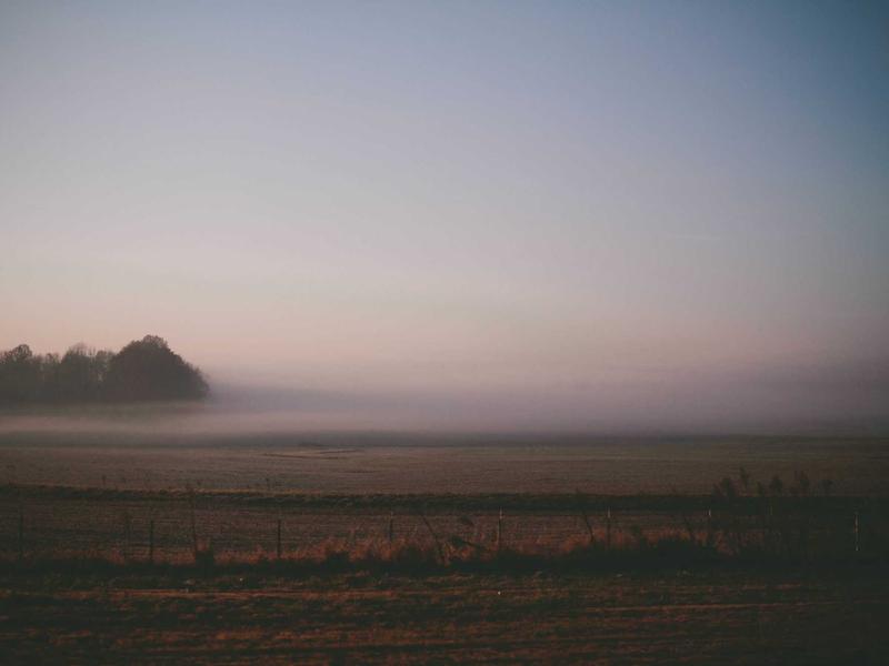 基孔肯雅热纳入乙类传染病管理，核心内容一文读懂