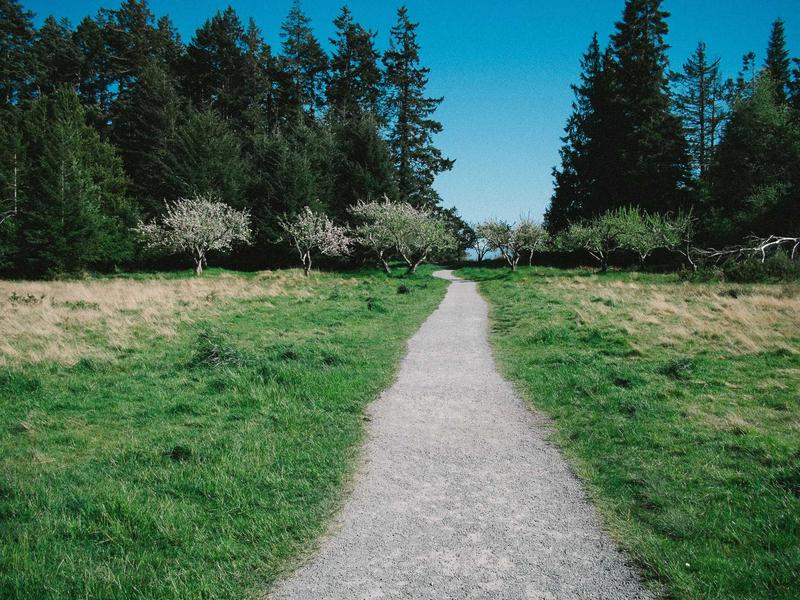 转发提醒！灶台不要放这些东西，易燃！