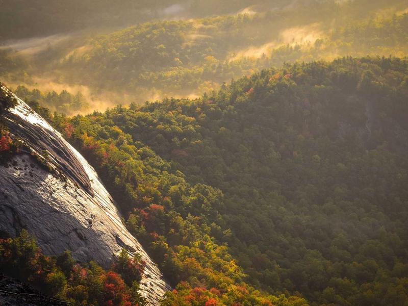 这个致癌因素与多种癌症相关，但往往被忽视了！